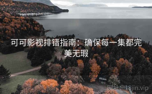 可可影视排错指南：确保每一集都完美无瑕