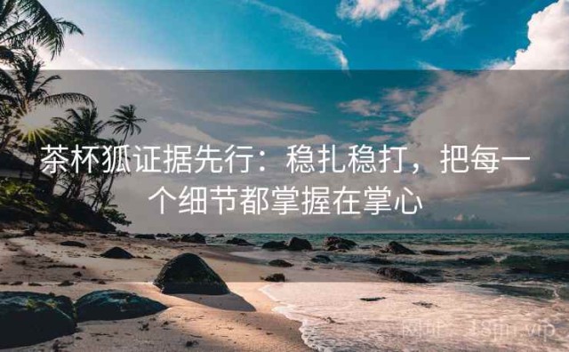 茶杯狐证据先行：稳扎稳打，把每一个细节都掌握在掌心