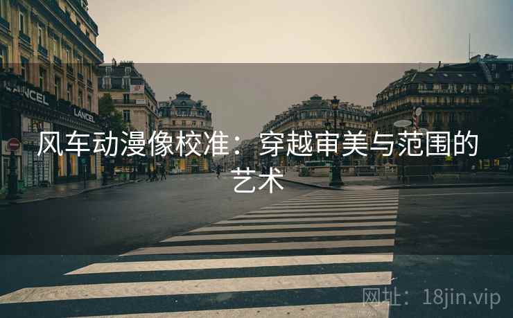 风车动漫像校准：穿越审美与范围的艺术